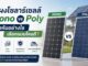 โซลาร์เซลล์ Mono vs Poly ต่างกันอย่างไร เลือกแบบไหนคุ้มสุด?